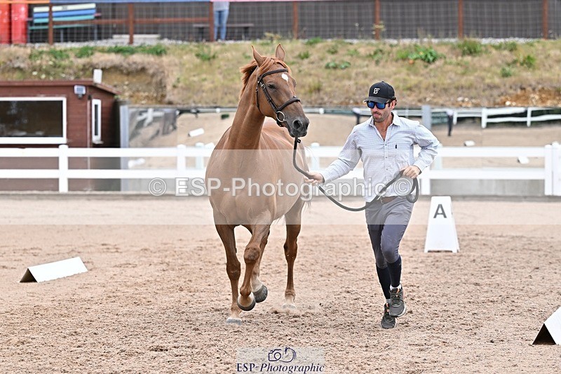 250716-134155-00641 - Trot Up 1.30 to 2.30