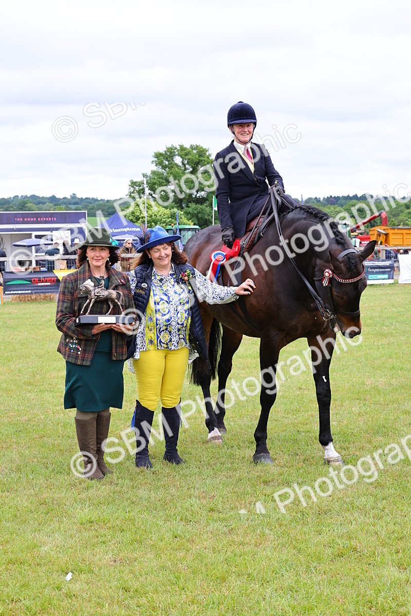 SBM_02891 - Class 9-11 Side Saddle including LIHS Rising Star Ladies Show Horse