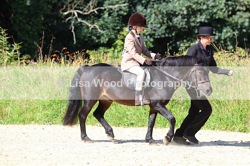 3E7A8032 - Class 15: Lead Rein