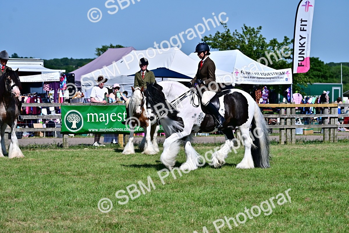 SBM_19391 - Class 101-102 - BSPS LIHS Performance Coloured Horse/Pony
