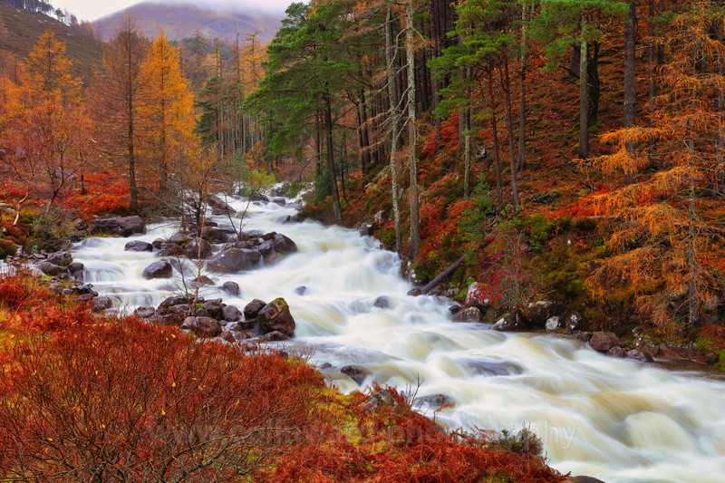 Autumn Flow, Torridon.    ref 1068 - Scotland