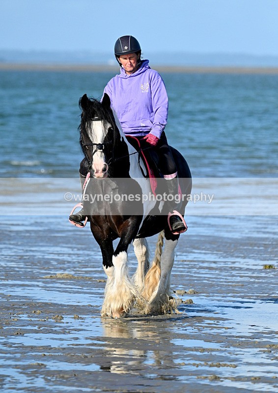 WJ7_2744 - Kellie & Churchill ... do Hayling Island 25-08-24