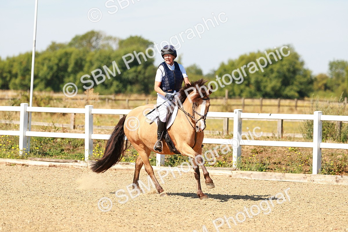SBM_000758 - AE - 50cm