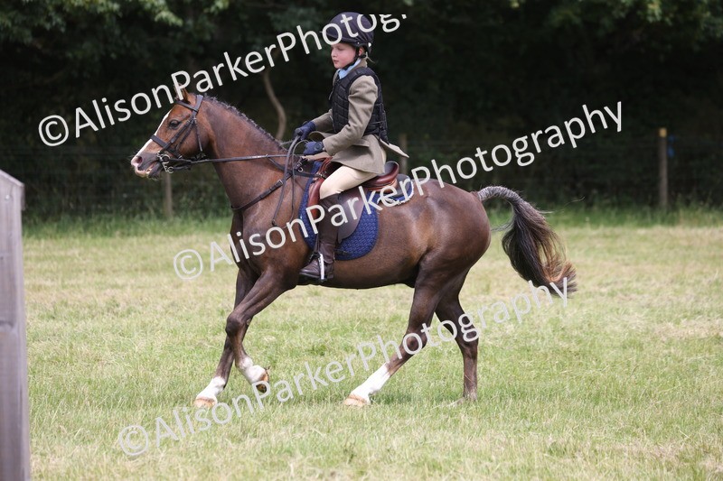 20260614-2873 - Class 22 - Open Working Hunter
