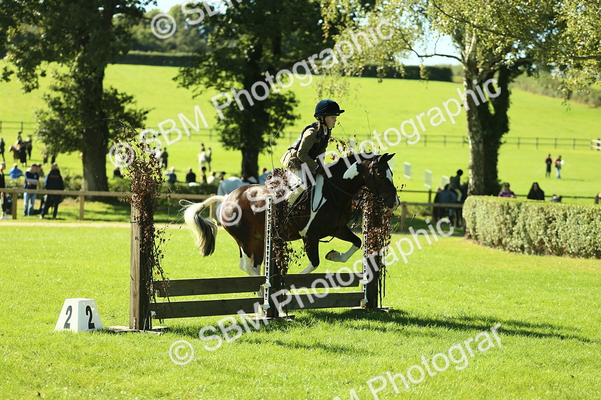 SBM_37526 - S29 - Novice & Newcomers Working Hunter Pony