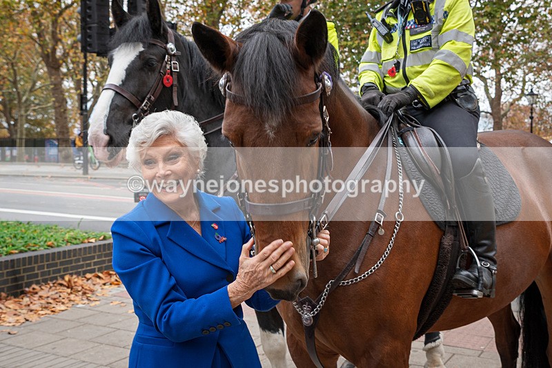Z62_4495 - Animals In War Memorial 2025 - Park Lane, London