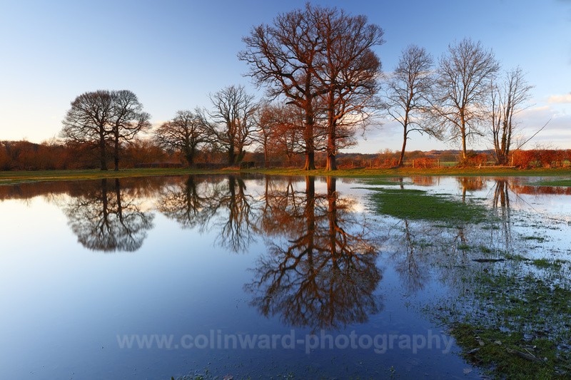 Winter reflections, Croxdale near Durham - County Durham