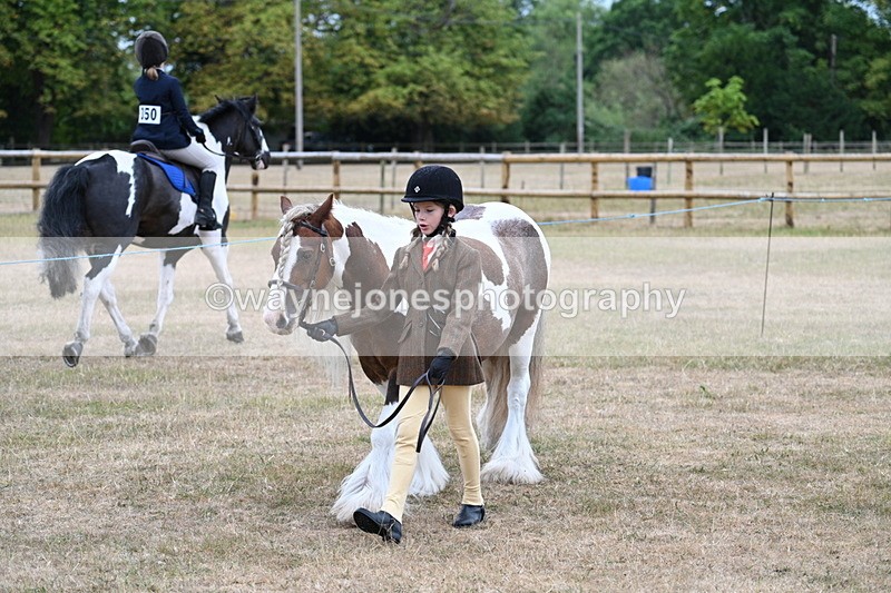 WJ7_8015 - Class 4 Prettiest Mare up to 14.2hh
