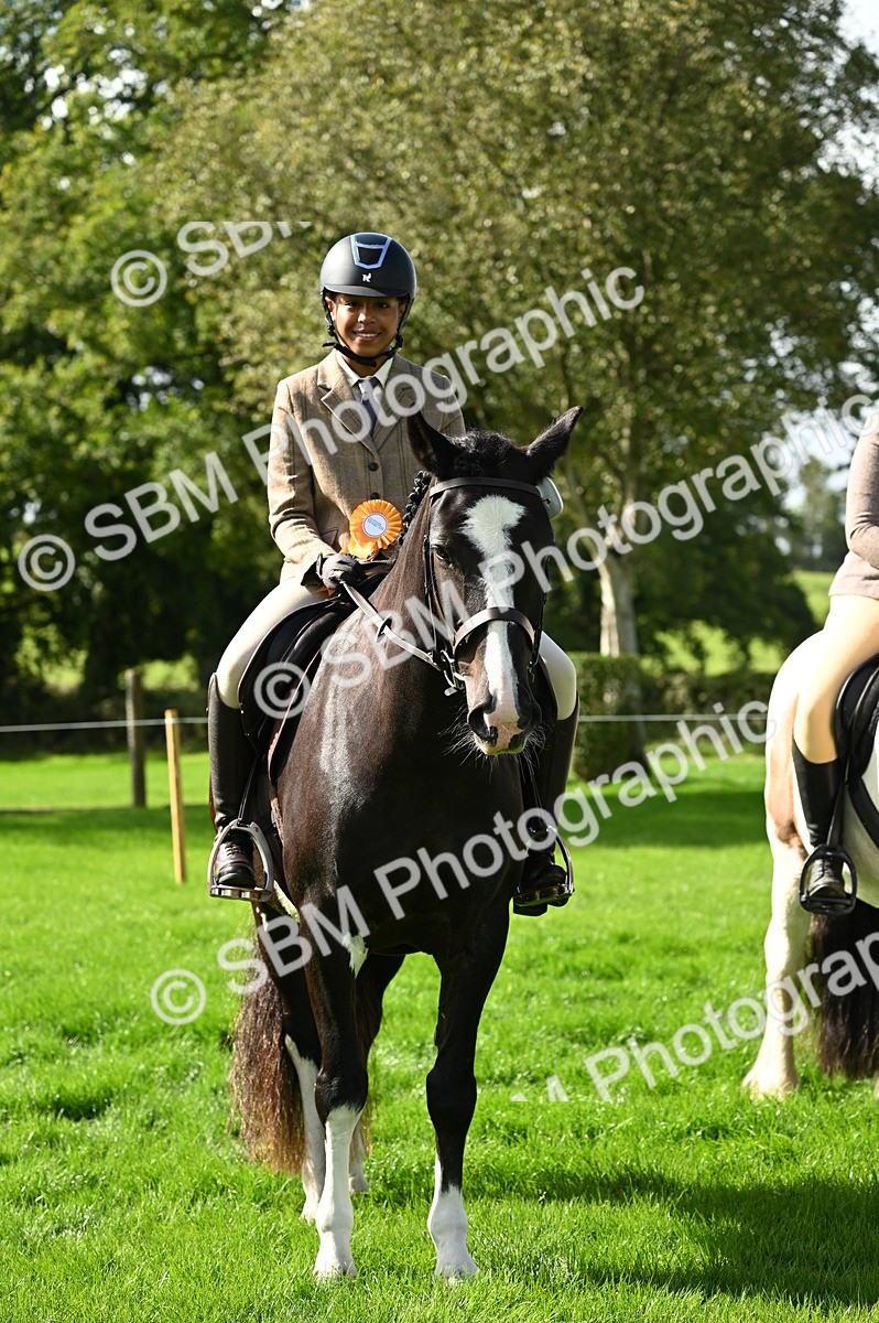 SBM_02107 - S2 - TSR Ridden Horse Showing