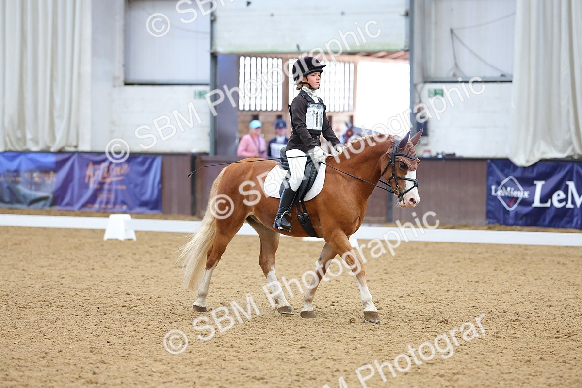 SBM_002971 - Novice
