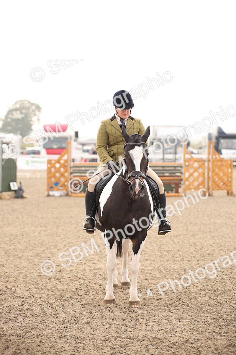 SBM_09741 - Class 401 Riding Club Pony