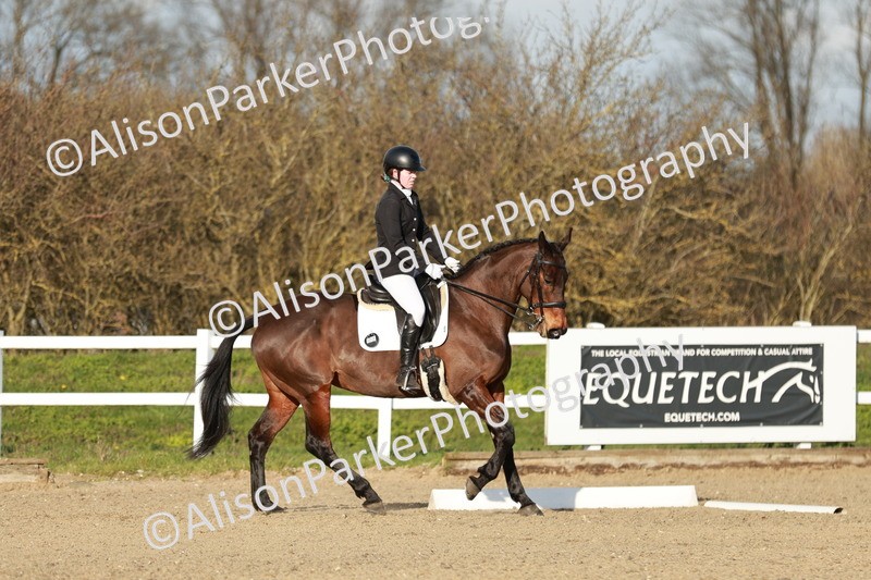 20260314-6253 - CT7 - Elementary 2