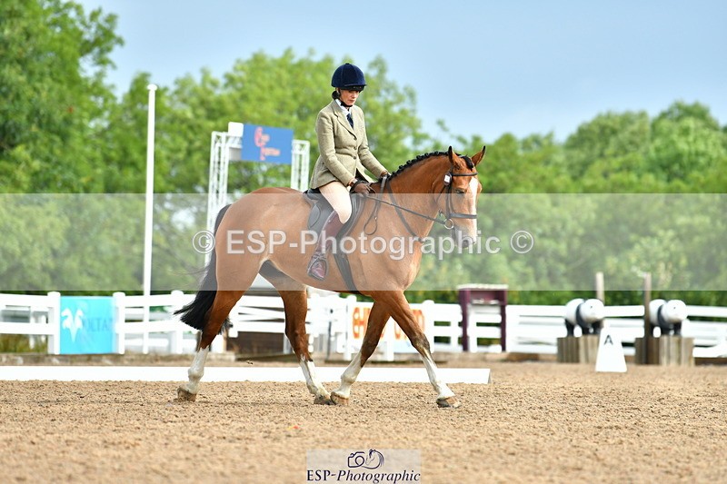 230708A-092401-02072 - Prelim 13