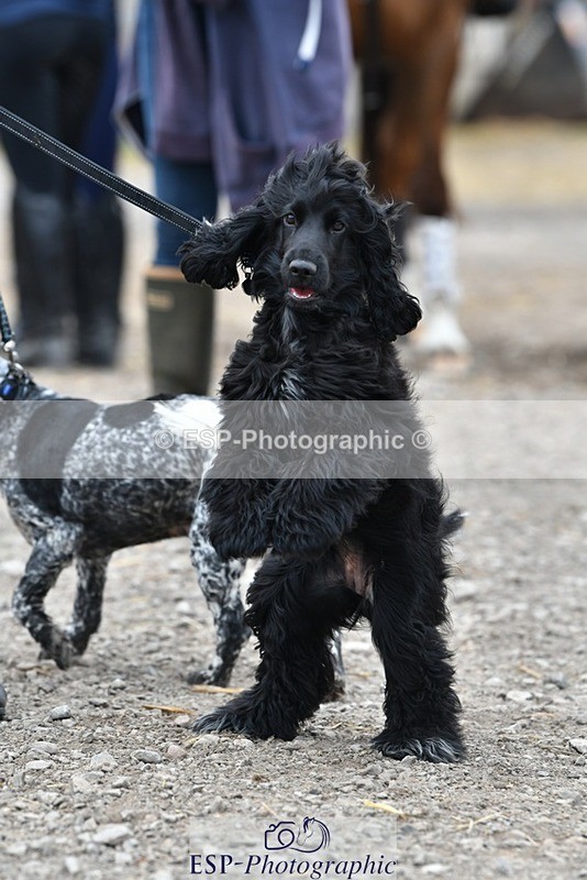 230817-124221-02799 - Stable Shots