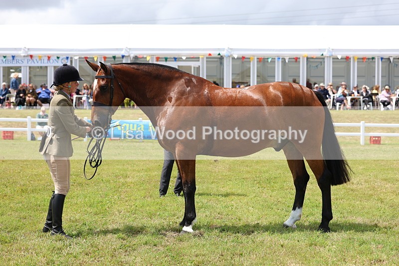 3E7A2233 - Class 10: Open Cob