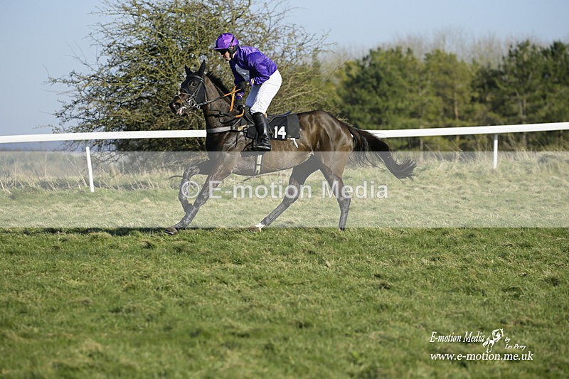 PtP 270222 290 - South & West Wilts Point-to-Point Larkhill 27/02/22