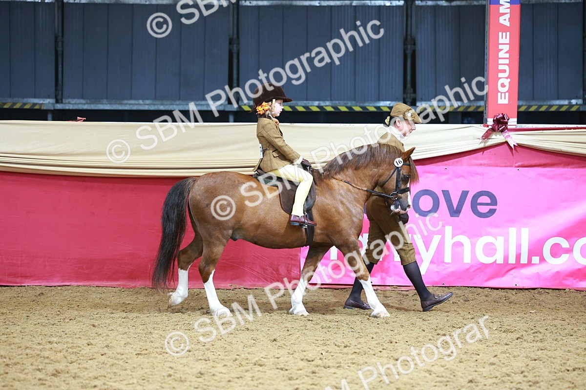 SBM_12393 - Class 103 - HOYS Veteran Qualifier - Ridden Pre Vet
