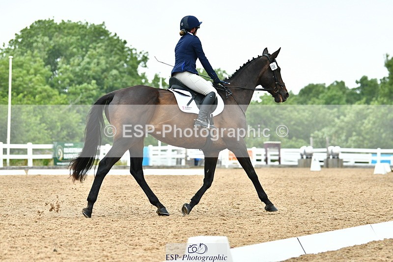 230708A-121308-02747 - Prelim 13