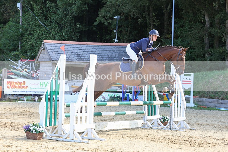 3E7A0607 - Class 4: Senior British Novice/90cm open