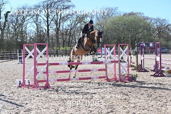 BPP_0283 - CLASS 21 SUN Senior 1.05m Open