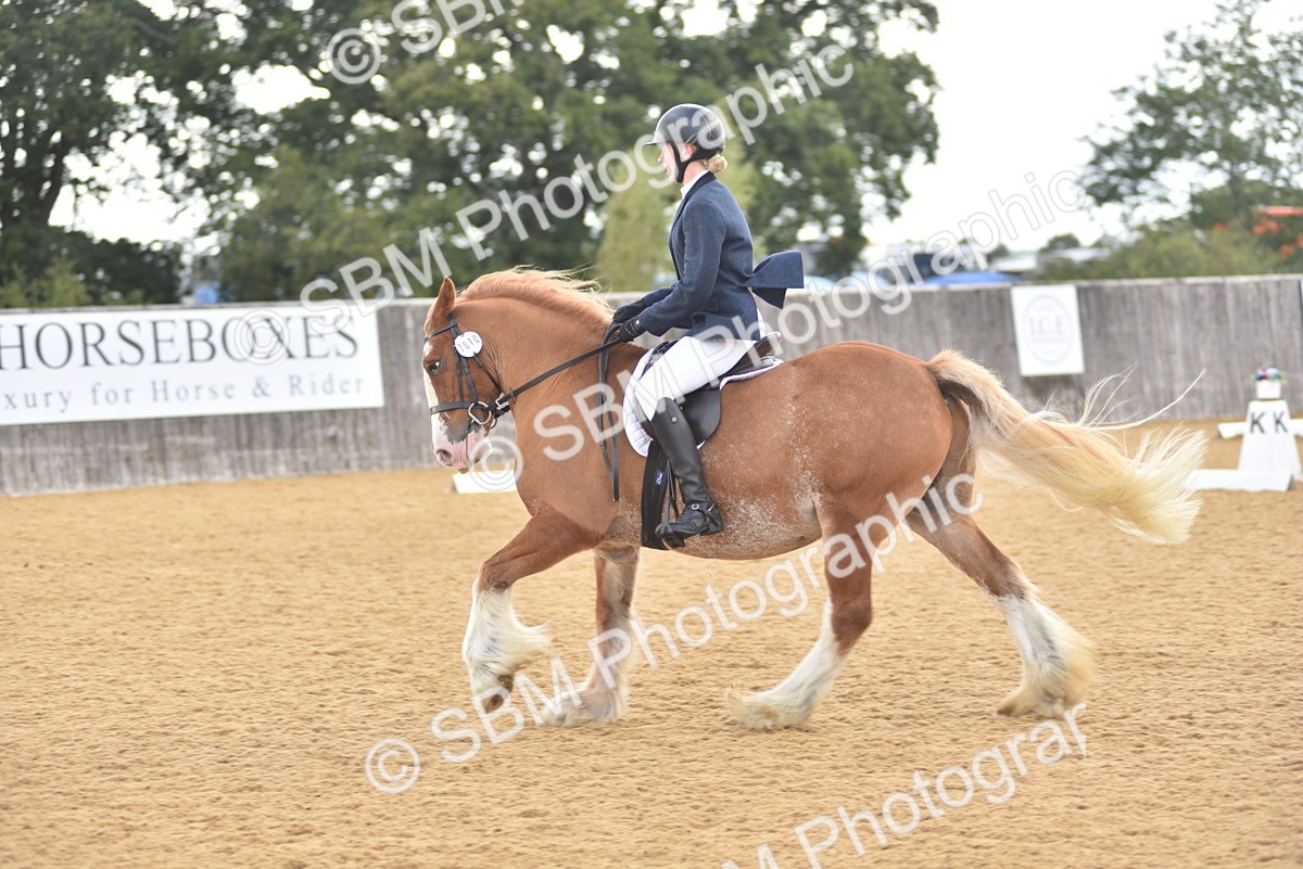 SBM_29623 - D16 -Small Tour Championship Novice 2