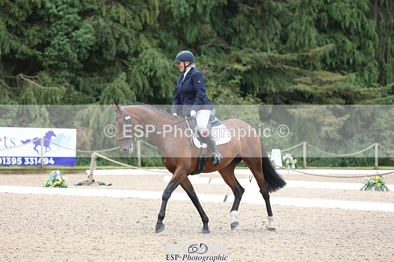 230812-095211-03050 - Cls 5 Novice Bronze Start to 10.55 break