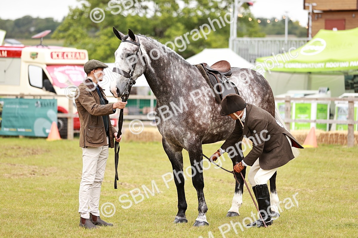 SBM_10941 - Class 81-84 - RIHS Ridden hunters Inc Ladies Hunter