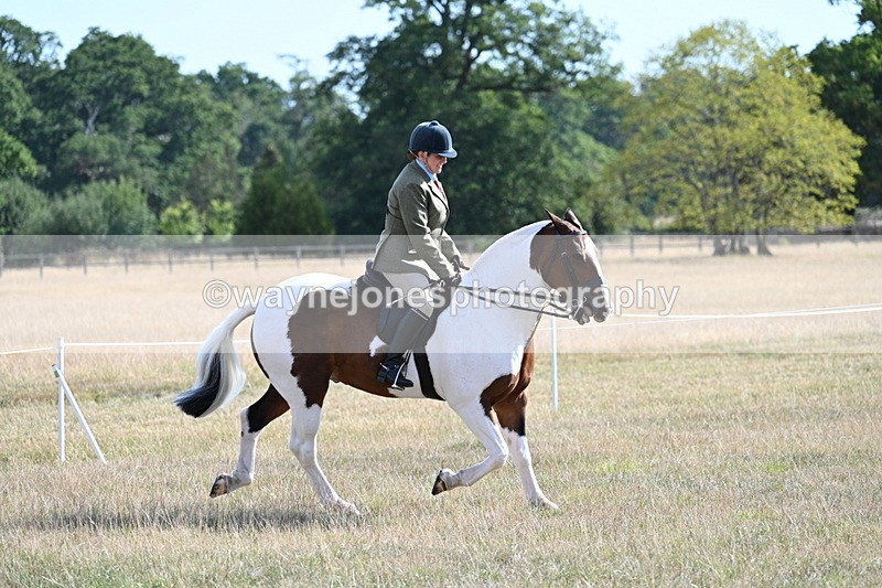WJ7_2822 - Class 8 Ridden Tack & Turnout