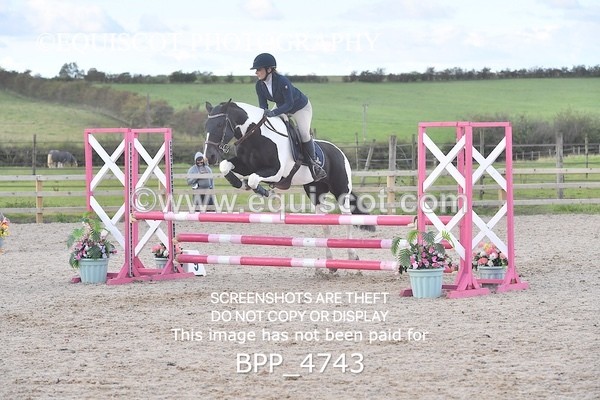 BPP_4743 - CLASS 12 HORSE 80CM FINAL