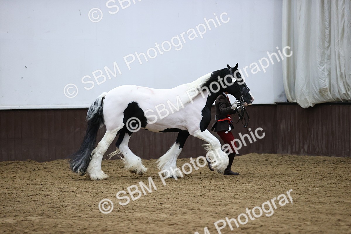 SBM_5700 - Class 40 - RESS In Hand Qualifier