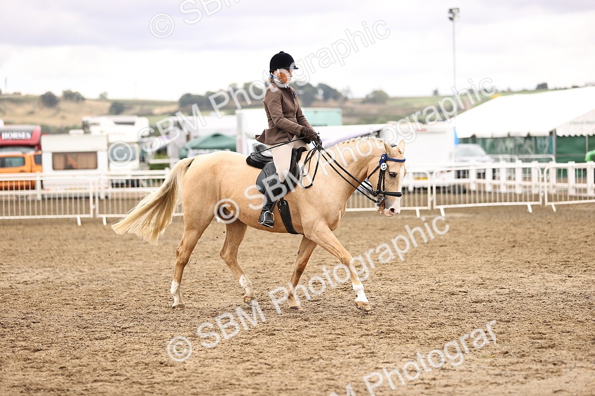 SBM_01411 - Class 54 - Riding Club Horse Pony