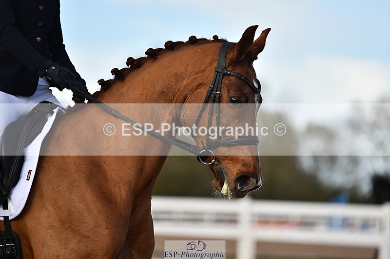 231104A-135350-01952 - Cls 10 Medium 61