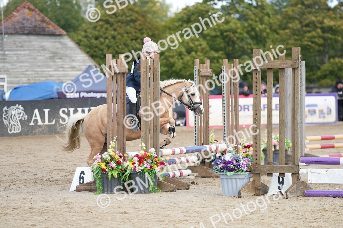 SBM_21143 - J49 - Open 50cm