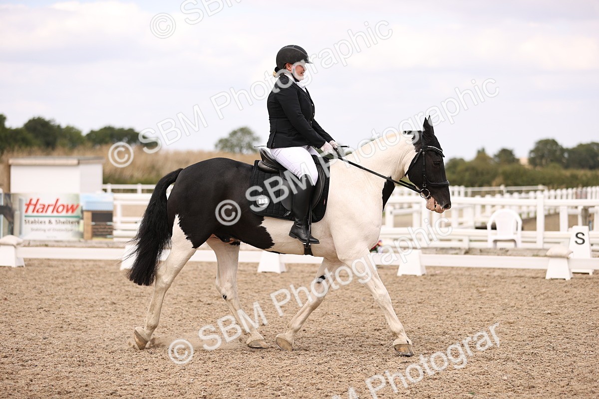 SBM_05982 - Class 37 Novice 5