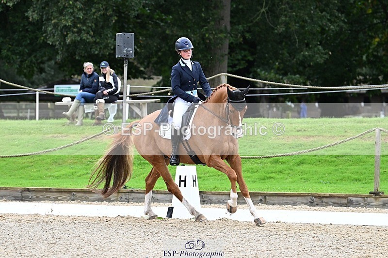 231019-130429-02931 - 049-AUGUSTUS.IMPERIOUS-Ines.Mitchell-DR