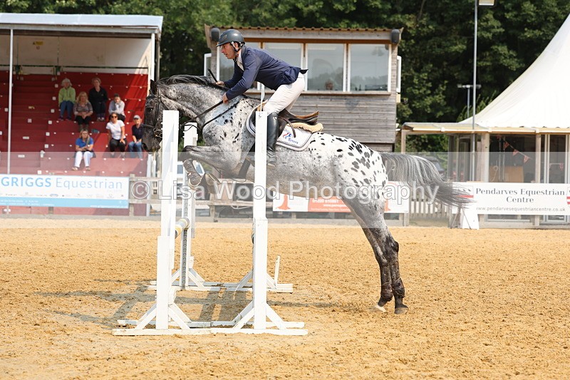 3E7A1657 - Class 4: Senior British Novice/90cm open