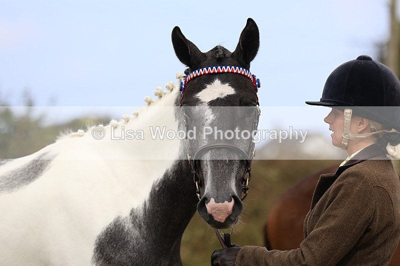 3E7A4251 - Class 15: Two Year Olds