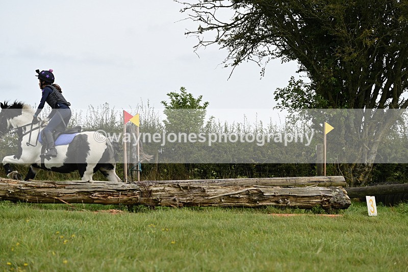 WJ6_9854 - Time 14:11 to 14:30