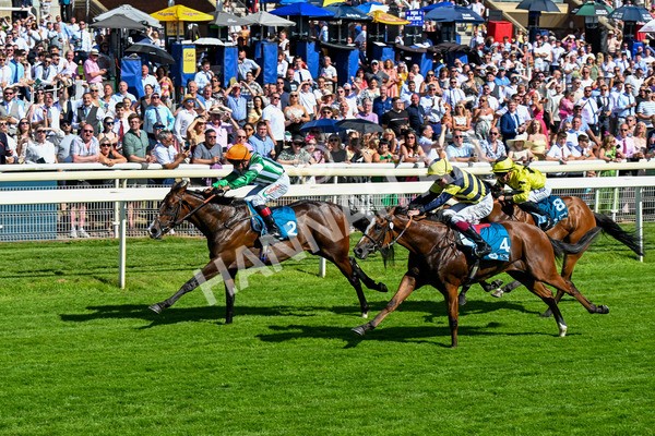120725-Race 5-Amazing Journey-0425 - Race 5 4.15pm John Smith's Nursery Handicap