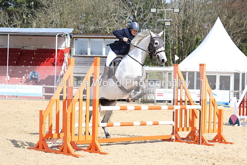 3E7A6518 - Class 4: Senior British Novice/90cm open