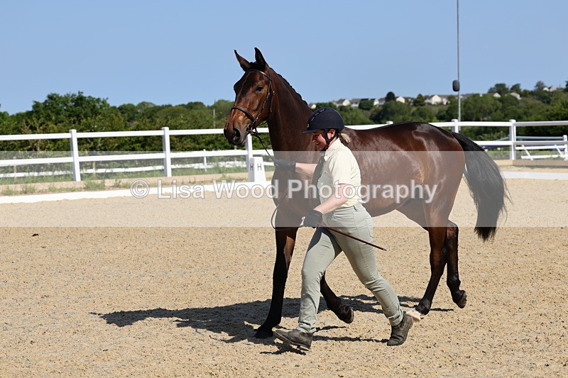 1X9A0784 - Class 4: Youngstock 1, 2, 3 year old to exceed 153cm