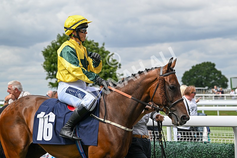 290725-Race 1-Poets Dawn - Star Start-9170 - Race 1