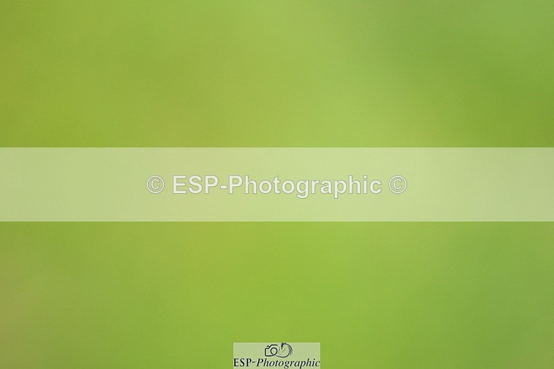 250705A-123647-14712 - Cls 30 Snr Foxhunter 2nd Round