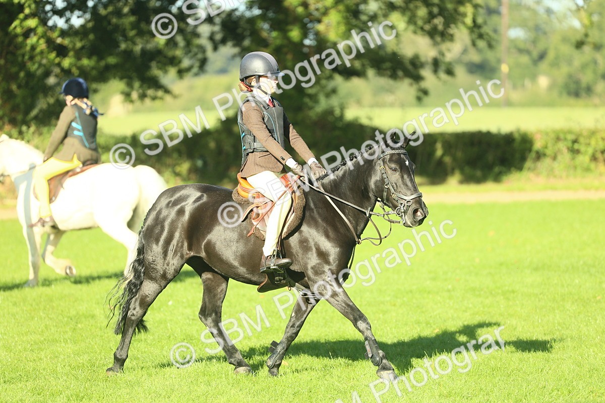 SBM_36310 - S29 - Novice & Newcomers Working Hunter Pony