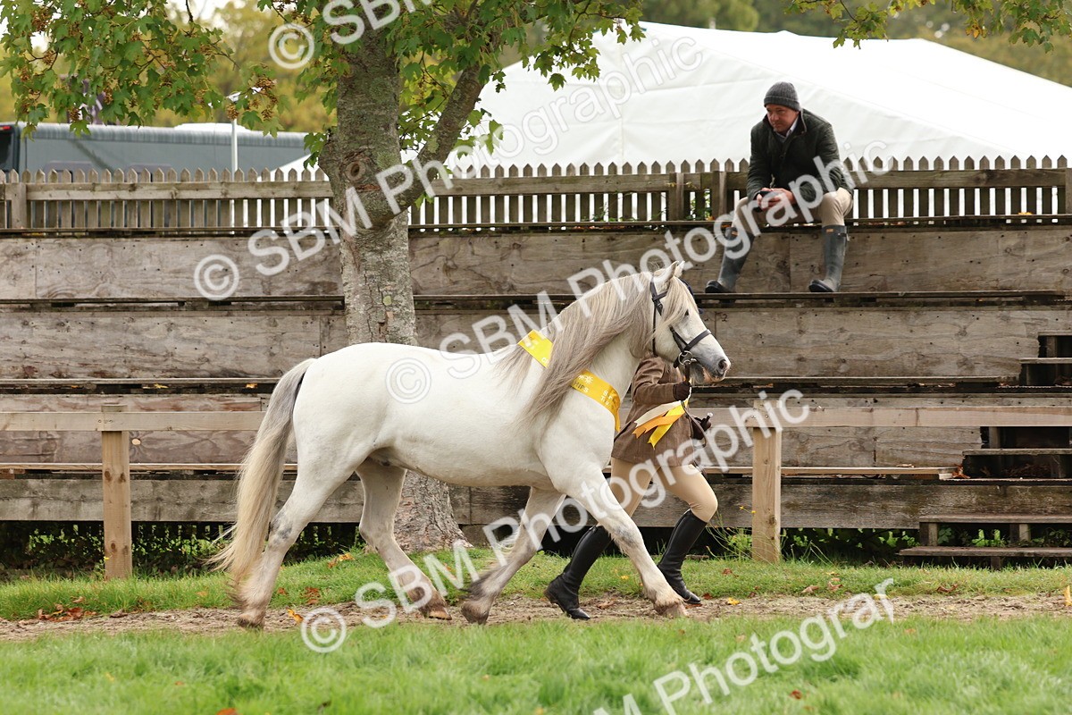 SBM_59766 - Start Supreme Championship