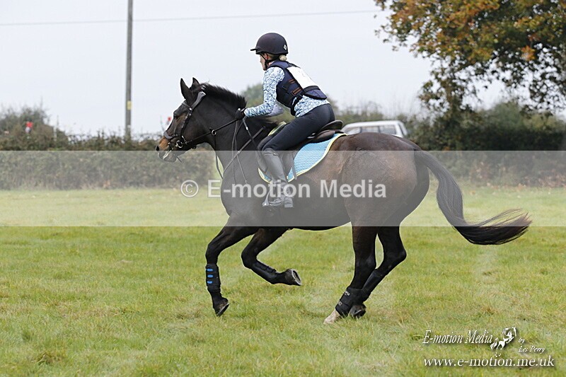 WWHT 181020 WWHT 181020 466 - WWEC Open Novice (0.80m) 18/10/20