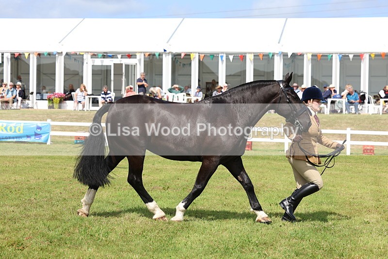 3E7A9997 - Class 5: Rising Star Lightweight/Heavyweight Cobs