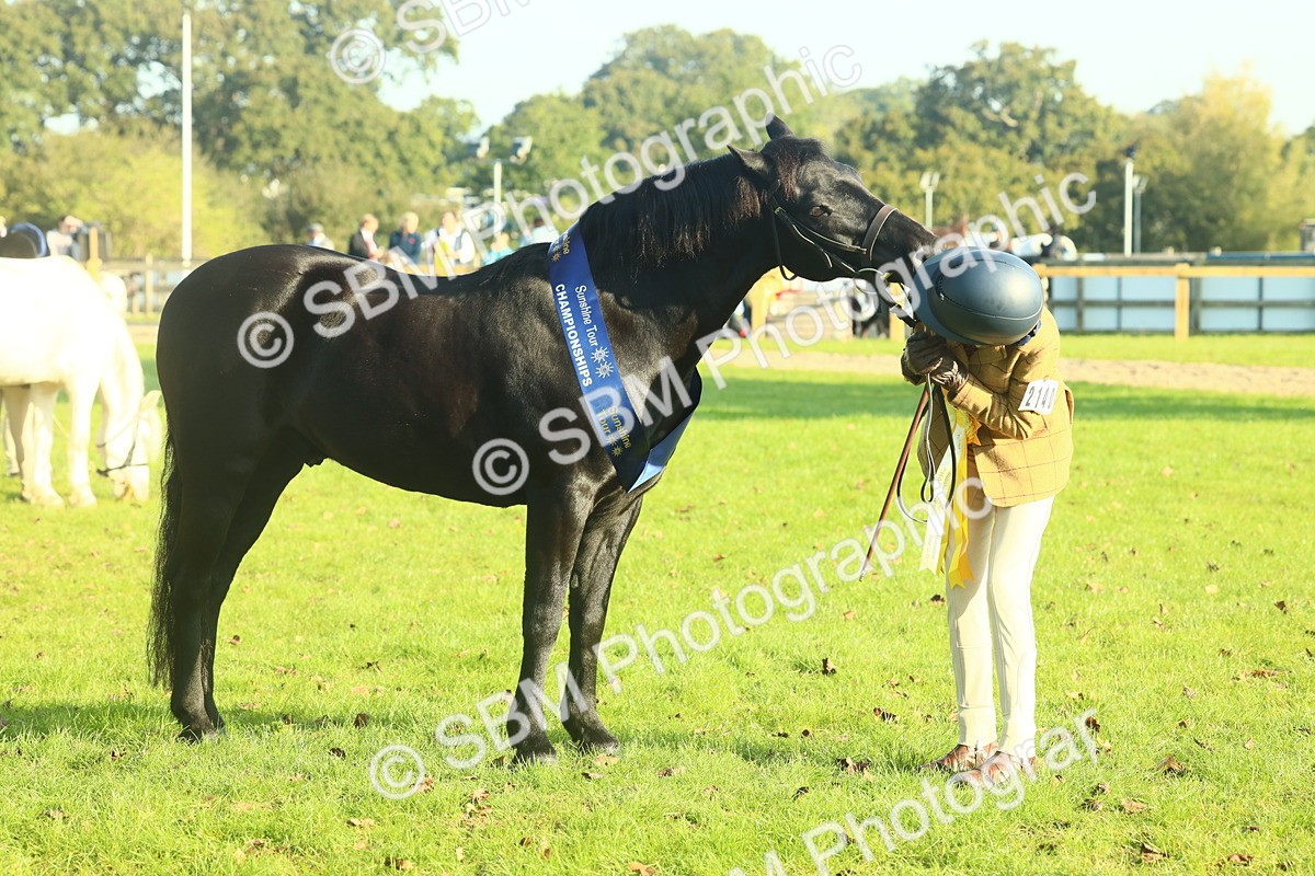 SBM_58462 - S37 - Starters In Hand Showing