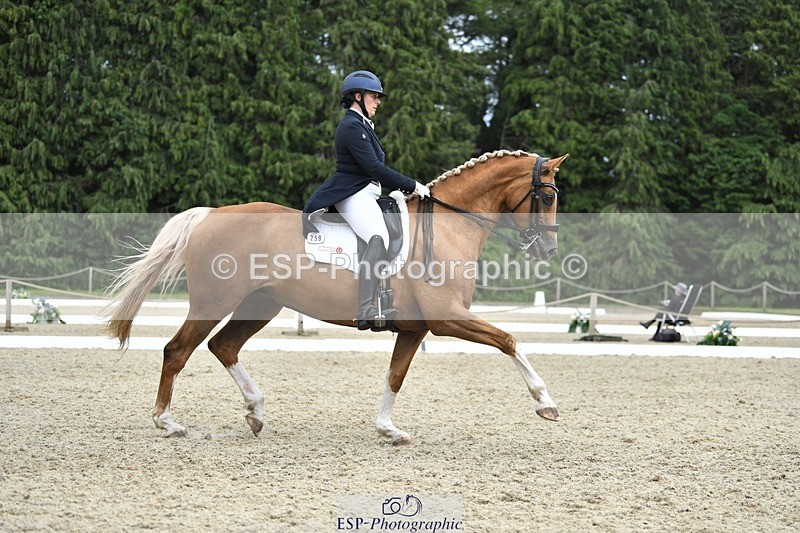 230812-143951-04759 - Cls 7 FEI PSG Bronze