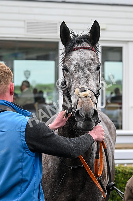 090425-Race 3-Stellarmasterpiece-9862 - Race 3